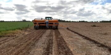 Alfalfa 2026 en el radar: la precisión comienza en la planificación del cultivo