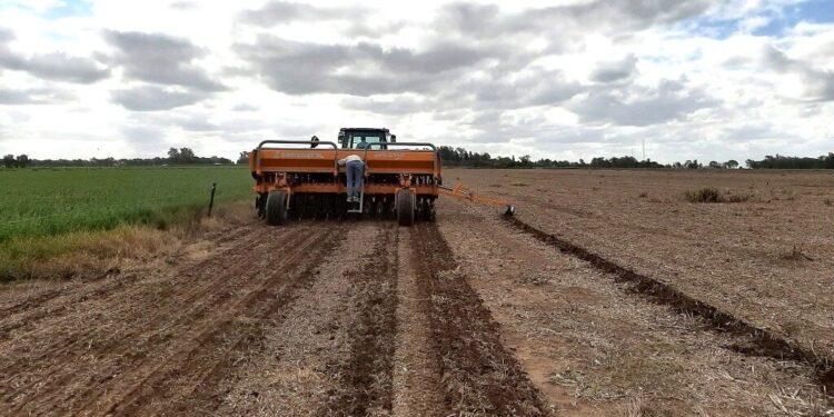Alfalfa 2026 en el radar: la precisión comienza en la planificación del cultivo