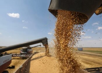 Rusia aumenta su cuota de exportación de granos de final de temporada con aumento de precios