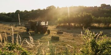 El agro aporta cerca del 20% de la economía argentina y lidera el ingreso de dólares