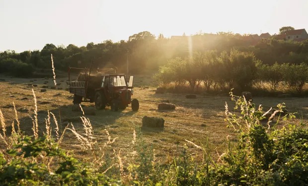 El agro aporta cerca del 20% de la economía argentina y lidera el ingreso de dólares