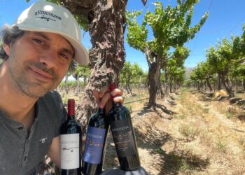 Valles Calchaquíes en copa: cuando la altura redefine la vitivinicultura argentina