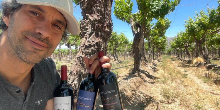 Valles Calchaquíes en copa: cuando la altura redefine la vitivinicultura argentina