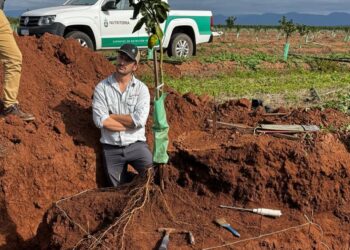 Nutriterra y la fertilización que está cambiando las reglas del juego en el norte argentino