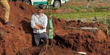 Nutriterra y la fertilización que está cambiando las reglas del juego en el norte argentino