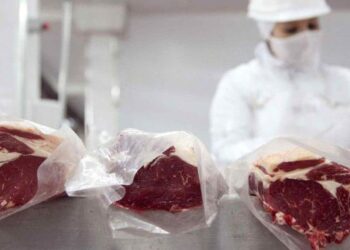 Cambios en las exportaciones de carne vacuna: El entusiasmo por el acuerdo con EE.UU. ahora sumaría a China