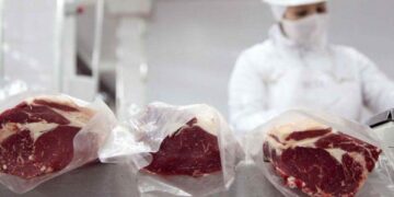 Cambios en las exportaciones de carne vacuna: El entusiasmo por el acuerdo con EE.UU. ahora sumaría a China