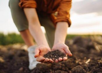Mercados de carbono: impulsan un cambio que podría atraer inversiones millonarias a la Argentina