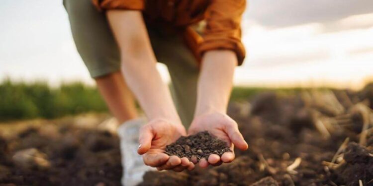 Mercados de carbono: impulsan un cambio que podría atraer inversiones millonarias a la Argentina