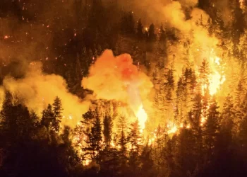 Incendios rurales: anuncian alivio financiero y créditos especiales para productores afectados