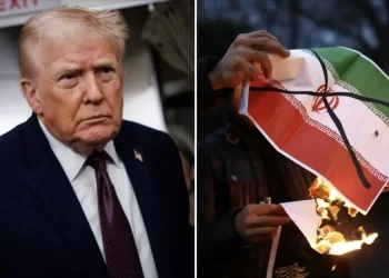 Argentina ante los aranceles de Trump: cómo puede repercutir en el agro la nueva política arancelaria de EE. UU.