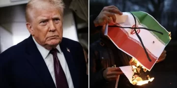 Argentina ante los aranceles de Trump: cómo puede repercutir en el agro la nueva política arancelaria de EE. UU.