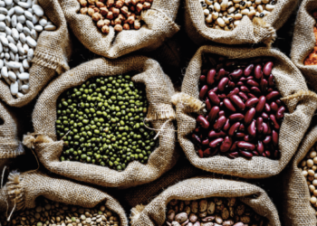Las legumbres van por un plan para reforzar la genética y revertir “un retraso varietal de 20 años”
