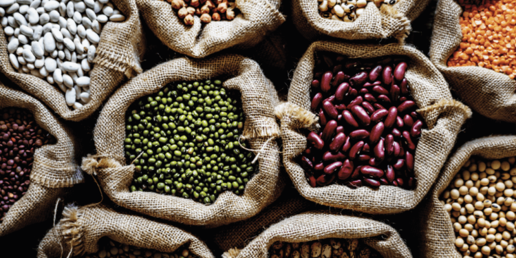 Las legumbres van por un plan para reforzar la genética y revertir “un retraso varietal de 20 años”