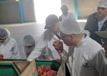 China sigue de cerca a las frutas de carozo argentinas y hay entusiasmo entre los exportadores
