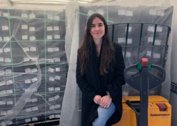 Ajíes tucumanos rumbo a Europa: del surco en Lules a las góndolas francesas
