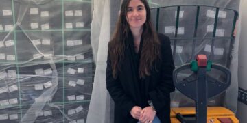Ajíes tucumanos rumbo a Europa: del surco en Lules a las góndolas francesas