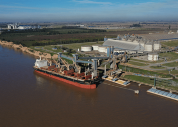 El trigo argentino es un “boom” global: se multiplican los envíos a China y pelea mercados hasta en el Mar Negro