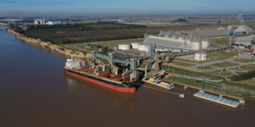 El trigo argentino es un “boom” global: se multiplican los envíos a China y pelea mercados hasta en el Mar Negro