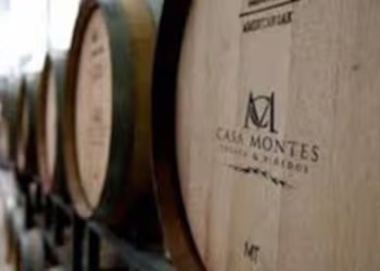 La crisis del vino: otra bodega con problemas financieros