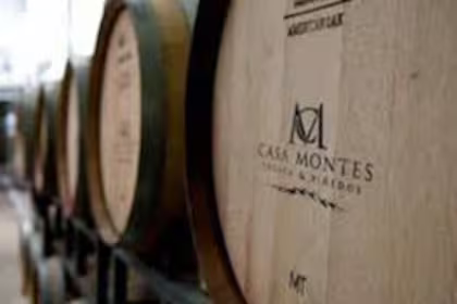 La crisis del vino: otra bodega con problemas financieros