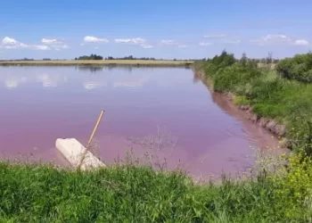 Entre Ríos enfrenta una crisis hídrica silente con agua contaminada en múltiples localidades