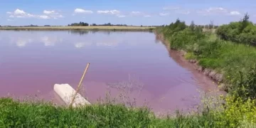 Entre Ríos enfrenta una crisis hídrica silente con agua contaminada en múltiples localidades