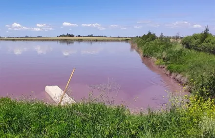 Entre Ríos enfrenta una crisis hídrica silente con agua contaminada en múltiples localidades