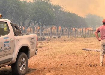 La Pampa bajo fuego: un avance temible de incendios que devora campos, hacienda y futuro