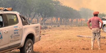 La Pampa bajo fuego: un avance temible de incendios que devora campos, hacienda y futuro