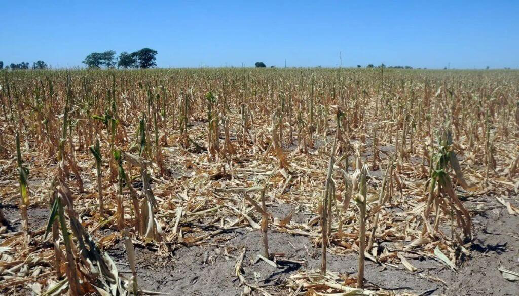En el norte de Santa Fe la sequía no cedió y se extendió la emergencia ...