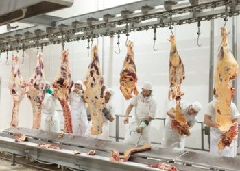 “No estamos de acuerdo”: la Sociedad Rural mostró disconformidad con el cupo de China, pero fue optimista ante el volumen a exportar