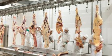 “No estamos de acuerdo”: la Sociedad Rural mostró disconformidad con el cupo de China, pero fue optimista ante el volumen a exportar