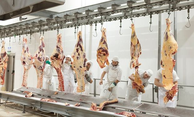 “No estamos de acuerdo”: la Sociedad Rural mostró disconformidad con el cupo de China, pero fue optimista ante el volumen a exportar