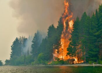 Incendios en Chubut: cortaron la Ruta 40 por el avance de las llamas y crece la preocupación