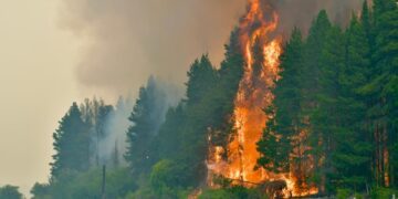 Incendios en Chubut: cortaron la Ruta 40 por el avance de las llamas y crece la preocupación