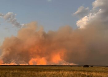 Los incendios, un drama que continúa en La Pampa: “El daño productivo, ambiental y humano es enorme”