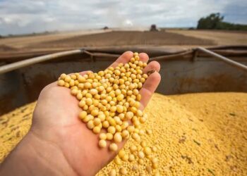 El agro volvió a ser el motor de divisas y exportó por US$ 50.000 millones