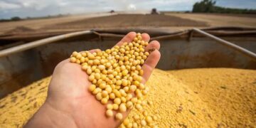 El agro volvió a ser el motor de divisas y exportó por US$ 50.000 millones