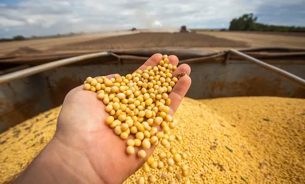 El agro volvió a ser el motor de divisas y exportó por US$ 50.000 millones