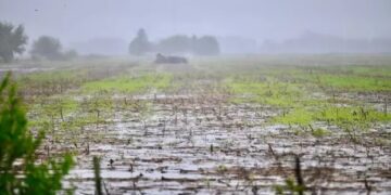 Lluvias fuertes para el fin de semana: qué zonas recibirán hasta 60 milímetros para aliviar a los cultivos