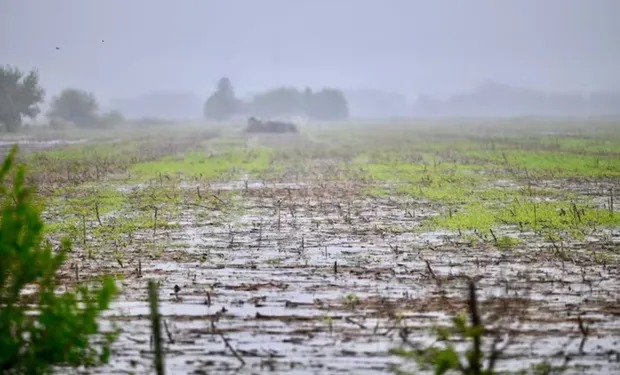 Lluvias fuertes para el fin de semana: qué zonas recibirán hasta 60 milímetros para aliviar a los cultivos