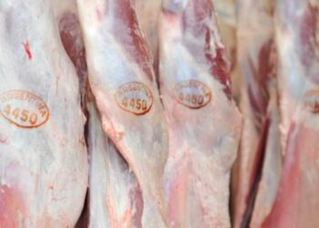 Nuevo mapa del consumo argentino: carne vacuna firme, pollo, cerdo, y leche en alza