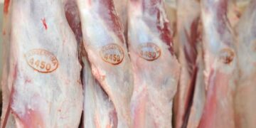 Nuevo mapa del consumo argentino: carne vacuna firme, pollo, cerdo, y leche en alza