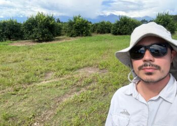 De estudiante a responsable de la finca: el desafío de producir para el mundo