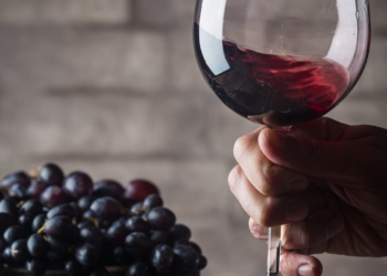 ¿Cuánto vino toman los argentinos?: el consumo per cápita cayó a un piso histórico