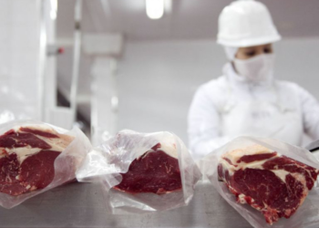 Asignan casi 20 mil toneladas del cupo de carne vacuna a EE. UU. para el ciclo 2026