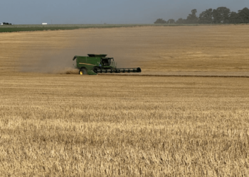 El agro, en el podio de las actividades económicas que más crecieron en la era Milei