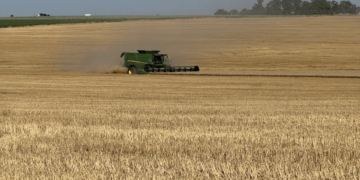 El agro, en el podio de las actividades económicas que más crecieron en la era Milei