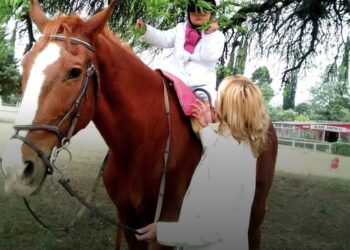 Equinoterapia en la universidad: una diplomatura pionera que integra salud, territorio y bienestar animal